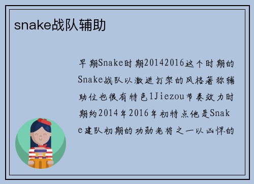 snake战队辅助